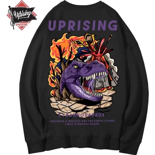 UPRISING Hoodies, Sweatshirts Animal Dinosaur long-sleeved Clothing Hip Hop Personality Japanese European and American Hoodies