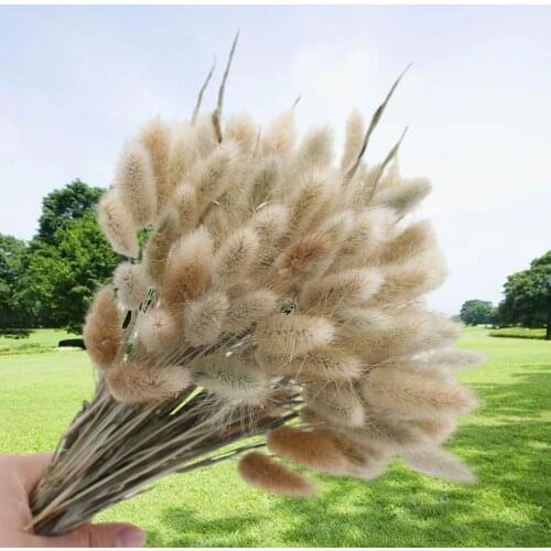 27-60Pcs Natural Dried Flower RabbitS Tail Grass Bouquet True Flowers Variety Colors For Home Decor Diy Wedding Setting Party