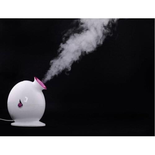2015 New Beauty Care Mini Face Spa Steamer Professional Ionic Mist Sprayer Nebulizer Super Moisturizing Kingdom facial cleaner