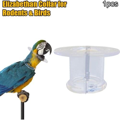 Bird Protective Bead Parrot Collar Anti Feather Picking Ring Anti-Plucking Anti-Grab Collars Elizabethan Collar for Rodents & Bi