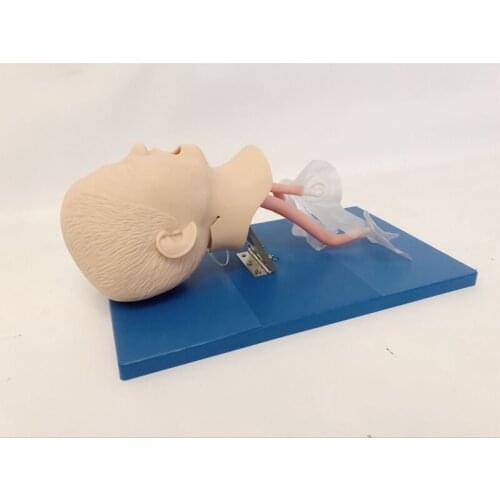 Newborn/baby/child cardiopulmonary resuscitation simulated pseudo-human tracheal intubation model