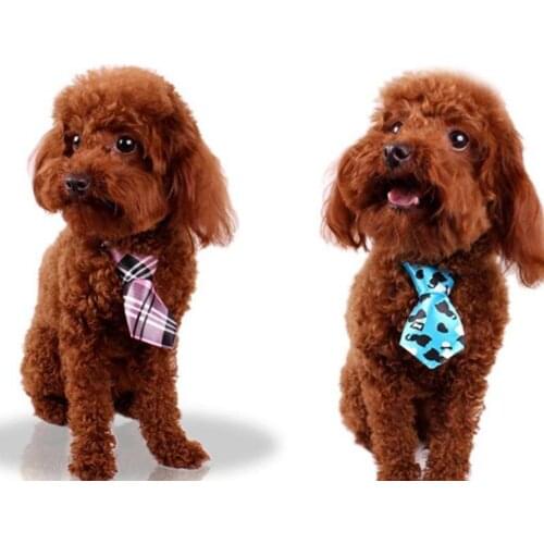 Adjustable Lovely Bow Tie Necktie Collar for Dog Cat Puppy Pet Kitty Teddy Accessory