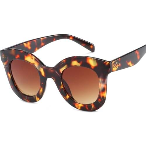 Phineed Womens Sunglasses Brand