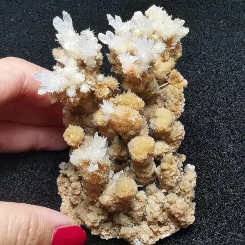 171.7gNatural rare cactus flower calcite and crystal stone mineral specimen healing energy furniture decoration QUARTZ GEM