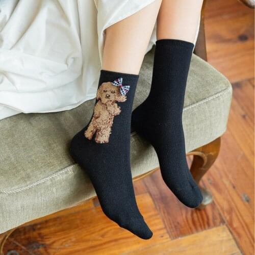 Socks Female Mid-Tube Autumn And Winter New Style Japanese Cartoon Cotton Socks Wholesale Cat Animal Korean Style College Style