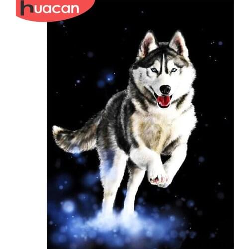 HUACAN Diamond Painting Dog Husky Full Square Round Cross Stitch Sale Diamond Embroidery Animal Mosaic Snow Handicraft Wall Art