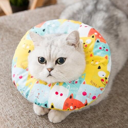 Elizabethan Collar Cat Dog Neck Cone Recovery Collar for Anti-Bite Lick Surgery Wound Healing Protective waterproof accessories