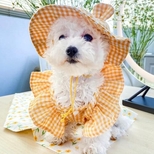 GALAXYDOG Dog Clothes Product Plaid Color Sun Hat For Small Dog Puppy Pet Cat All Season Pet Cute Costume Pet Clothes Cool Hat X