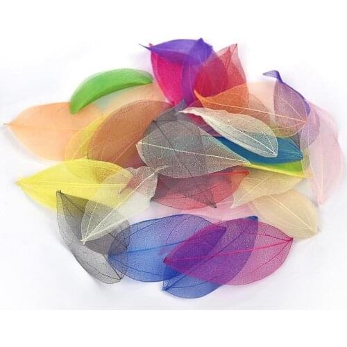 100pcs Natural Leaf Vein Dried Leaves Resin Filling Handirafts Decoration For DIY Epoxy Resin Crafts