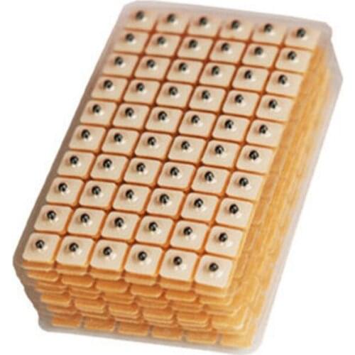 Good effect Magnetic therapy 600(1 packs)pack Auricular Ear Auriculotherapy Acupuncture Therapy Ear Seeds Sticker Vaccaria seed