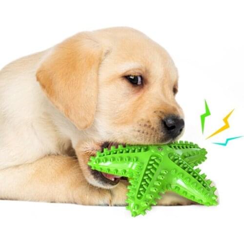 Dog Toys Pet Molar Tooth Cleaner Brushing Stick Starfish Dogs Chew Trainging Doggy Dental Care Toothbrush Pet Puppies