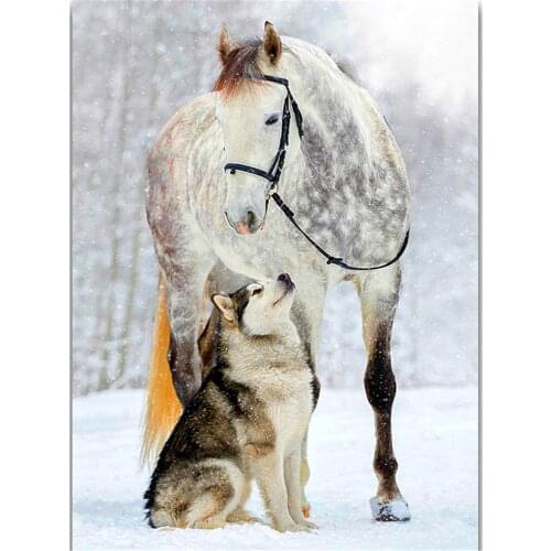 Animal Dog Husky DIY 11CT Cross Stitch Embroidery Kits Craft Needlework Set Printed Canvas Cotton Thread Home Dropshipping