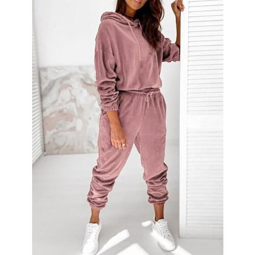 Autumn And Winter Womens Pure Velvet Long Sleeve Casual Suit Fashion Solid Hoodies And Pants Two Piece Sets Women Tracksuit