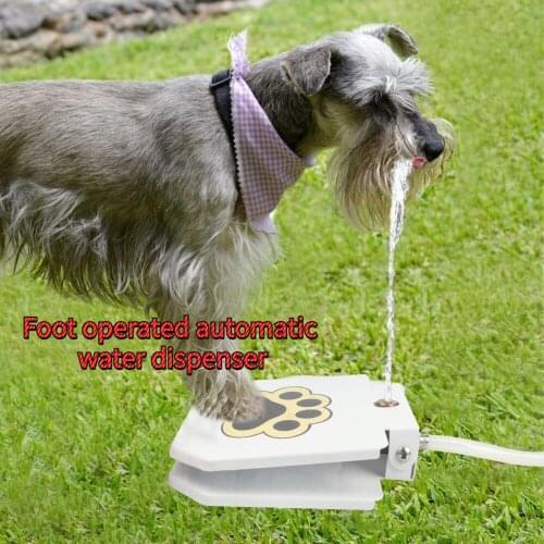 Pet Water Drinking Fountain Dog Self-service Water Feeder Summer Training and Water Water Treader Cat and dog intelligence