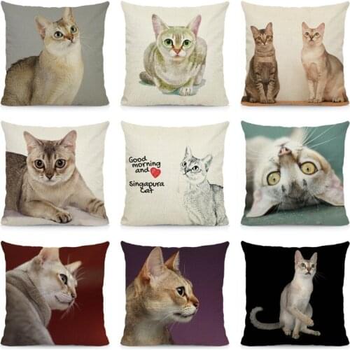 Singapura Cat Pattern Cushion Cover 45x45cm Animal Print Throw Decorative Pillow Case DWM018