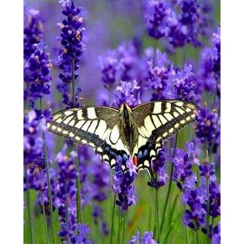 5D DIY Square Round Diamond Painting Cross Stitch Mosaic Butterfly Flower Painting Home Decoration Handmade Gift WG2345