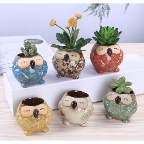 60pcs Lovely Durable Fleshy Plant Pot Squint Owl Ceramic Flowerpots Mini Planters Portable Creative Home Decoration WB261