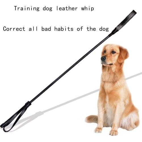 French Bulldog Training Dog Whip Pet Training Supplies Dog Beating Stick Training Dog Whip Biting Stick Dog Training Device