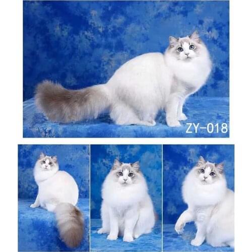 DAWNKNOW Pet Cat Photography Background Backdrop Blue Uniquely Painting Photocall Pro Tie-Dyed Muslin Shoot Photo Studio 2x3M