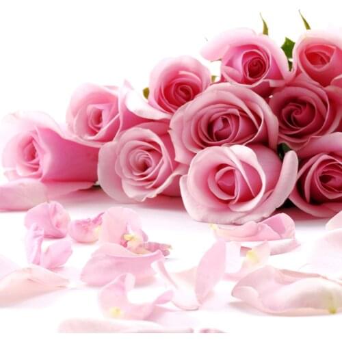 Red rose Cross Stitch Embroidery Kits scenery Cotton Thread Painting Diy Needlework Dmc New Year Home Christmas Gift