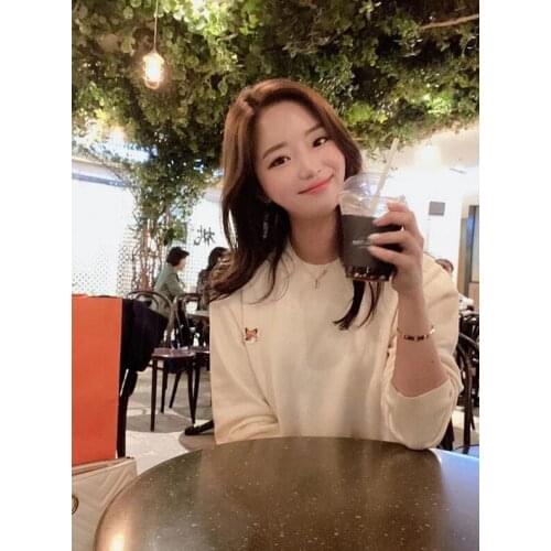 Women Fox Sweater 2020 Spring Autumn New Embroidery Loose Round Round Neck Long Sleeve Pullover