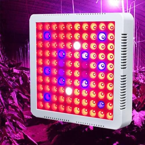 Plants Led Grow Light 1000W Full Spectrum Phyto Lamp For Greenhouse Growing And Flowering With IR UV Leds Light For Tent Hanging