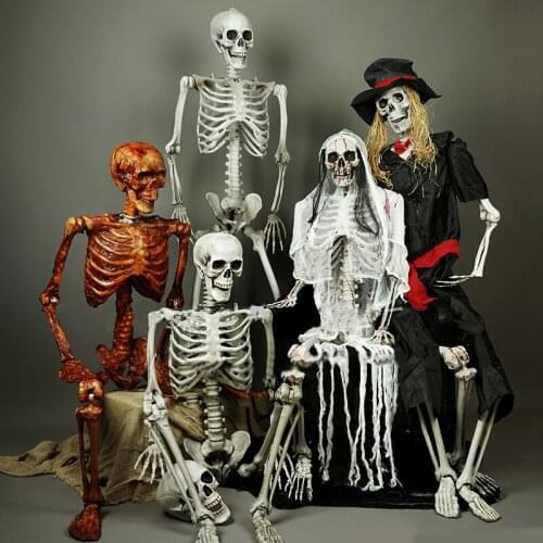 Halloween Skeleton Prop Human Full Size Skull Hand Life Body Anatomy Medical Learning Model Decor Halloween Party Decor for Home