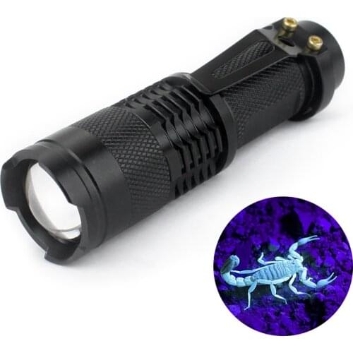 Asign Flashlights