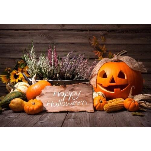VinylBDS Halloween Photo Background Photography Backdrop Wooden Toile De Fond Studio Photo Pumpkin Lavender Foto Background