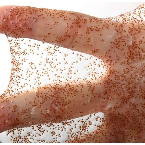 10g New Pure Seaweed Alga Mask Whitening Moisturizing Shrink Pores Acne Mask Spots Remove Hyrdating & Face Mask