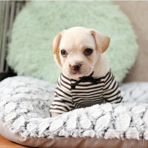 Pets Sleeping Cushion Blanket for Small Puppy Large Dogs Thick Soft Plush Dog Bed Kennel Pad Crate Mat Cat Pet Mats Mattress