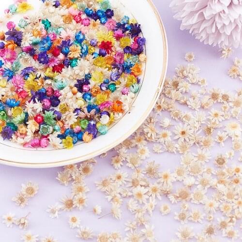200pc Dried Flowers For DIY Art Craft Epoxy Resin Candle Making Jewellery Glass cover ball filler Dried Fake Flowers Home Decor