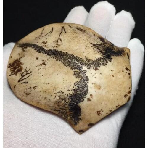 Old antiques in Tibet Folklore heritage material culture heredity bone brand representative of the three realms of humans