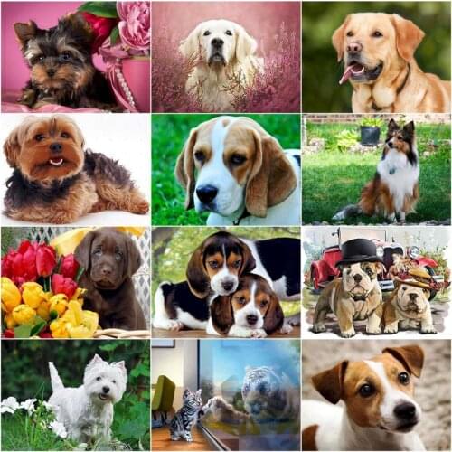 GATYZTORY Full Square/Round Dril Or Round Drill 5D DIY Diamond Painting Dog Animal And Beauty Embroidery Cross Stitch Mosaic Hom