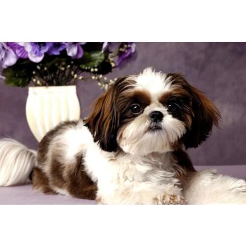 YI BRIGHT Full Square/Round Drill 5D DIY Diamond Painting "dog" Embroidery Cross Stitch 5D Home Decor