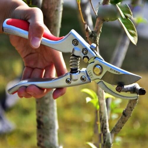 Gardening Pruning Shears 65MM Blade Black Plating Material Gardening Tools Stainless Steel Gardening Scissors MadeInJapan
