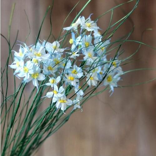 5pcs Blue Dried Ceratostigma Plumbaginoides Flower For Wedding Party Home Hotel Decoration DIY Bouquet Project Accessory