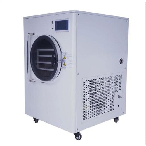 Small Household Vacuum Freeze Dryer Machine Freeze Dehydrated Strawberry Fruit and Vegetable Freeze Dehydrator