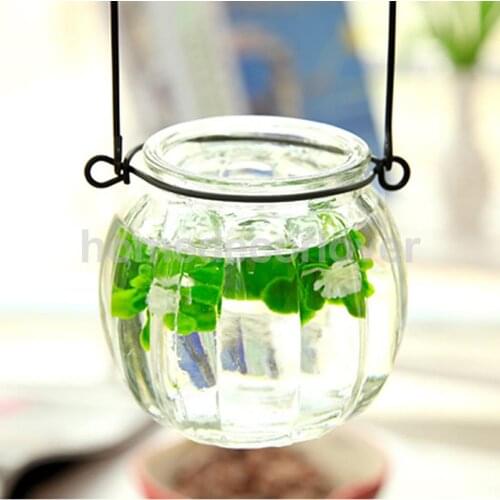 Clear Hanging Pumpkin Glass Vase Plant Hydroponic Pot Bottle Terrarium Container Home Decor