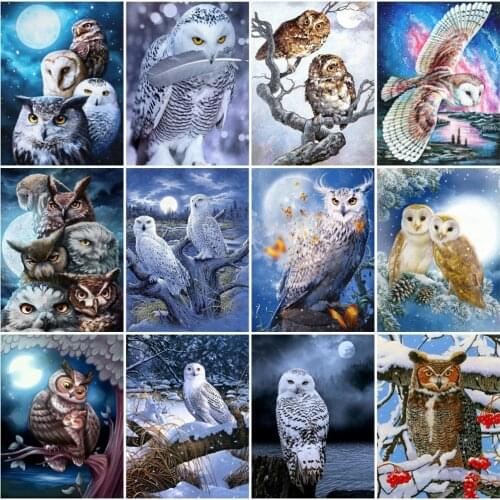 EverShine Diamond Painting 5D Animal Cross Stitch Diamond Mosaic Owl Picture Of Rhinestones Winter Beaded Embroidery Handicraft