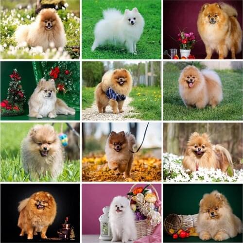 5D DIY Diamond Painting Dog Diamond Embroidery Pomeranian Full Round/Square Mosaic Puppy Picture of Rhinestones Handcraft Gift