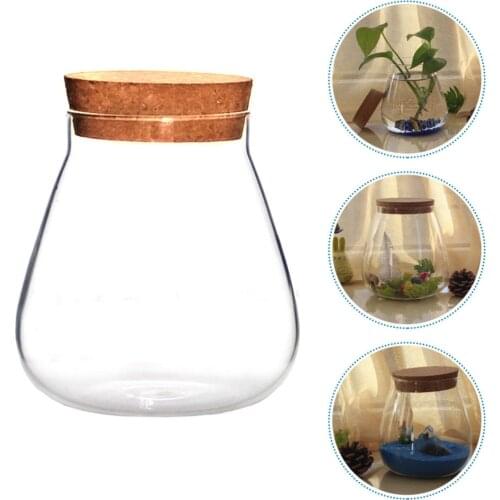 1Pc Candy Jar Succulents Cacti Moss Vase Glass Flower Planter Home Decoration