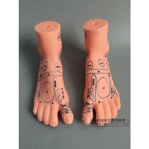 20*12cm left/right feet model Foot reflex zones massage Acupuncture points moxibustion