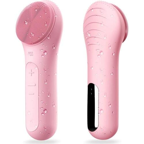 GOWEIGO Electric Face Brushes