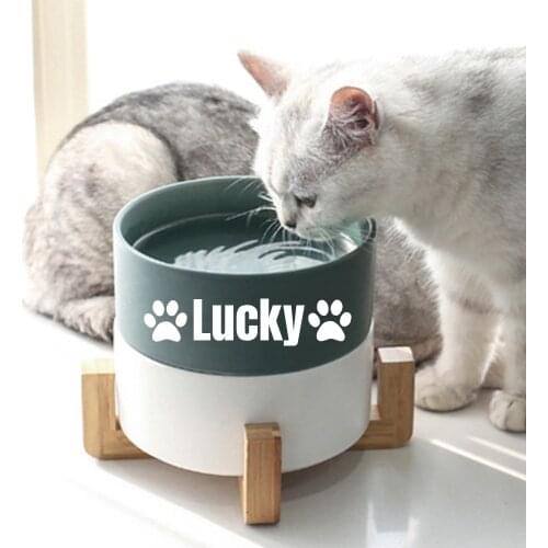 Personalized Name For Cat Dog Ceramic Bowl For Pet Cats And Dogs Food Water Feeder Dog Accessories Durable Multiple Color Option