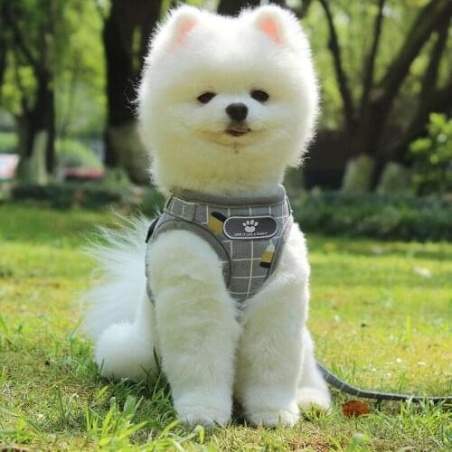 Small Medium Dog Harness Reflective Breathable Chest Strap Plaid Teddy Bichon Pet Clothes Supplies Dogs Chain Leash Printed Vest