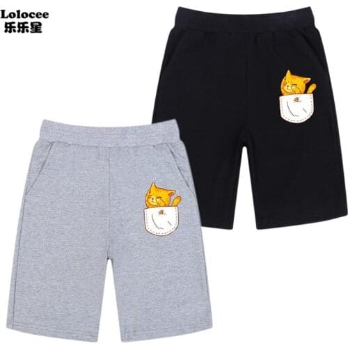 New Fashion Unisex Kids Animal Fighter Cat 3D Print Fashion Beach Shorts Joggers Trousers Boys Sports Short Pants