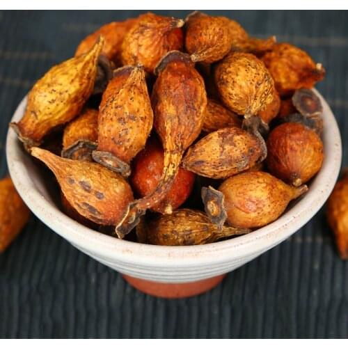 CHEROKEE ROSE FRUIT ROSAE LAEVIGATAE FRUCTUS JIN YING ZI