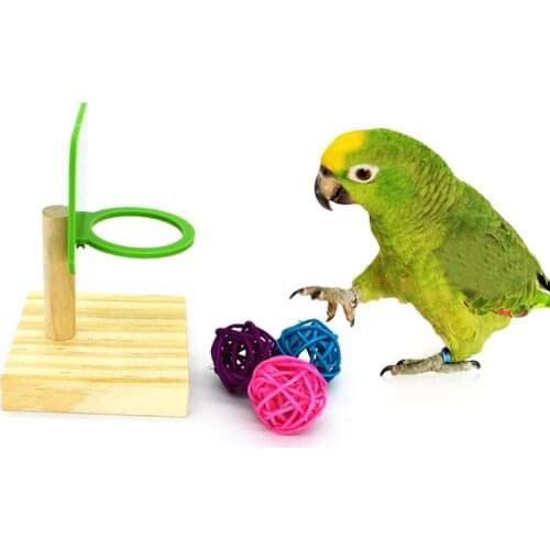 1Set Pet Bird Chew Toys Parrot Basketball Hoop Prop Trick Tabletop Ring Mini Roller Skates Parakeet Intelligence Training
