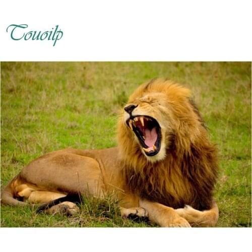 5D Diy diamond painting round&square Lonely Lion King Prairie crystal Painting diamonds decorative diy diamond embroidery kits